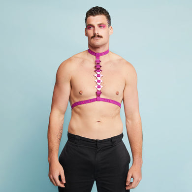 SPINE HARNESS