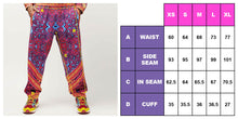 Load image into Gallery viewer, CRYPTIC FREQUENCY TRACK SUIT PANTS