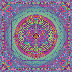CRYPTIC FREQUENCY SCARF